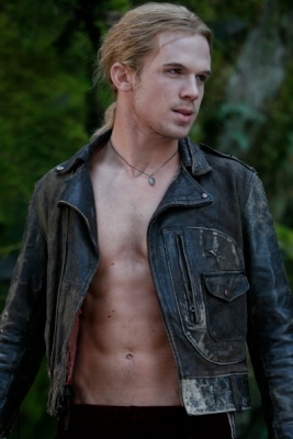 cam gigandet from the oc